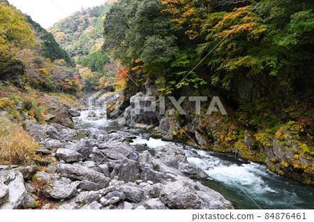 秋天的Fallonoid谷 84876461