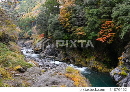 秋天的Fallonoid谷 84876462