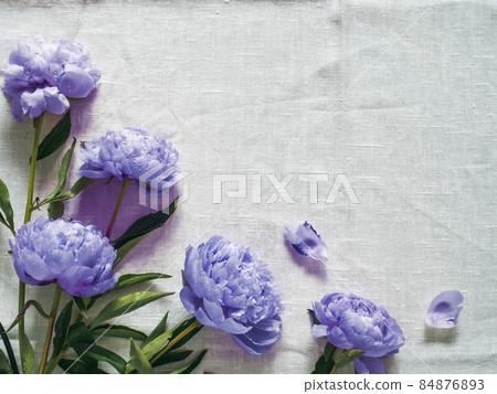 violet peony bouquet on white tablecloth 84876893