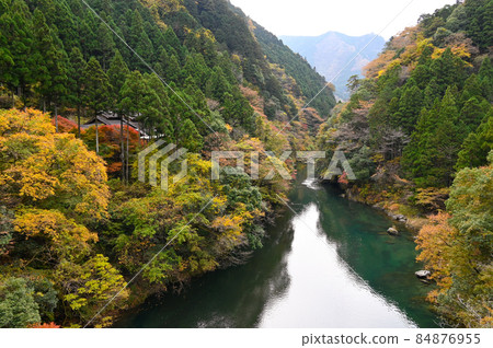 從和馬京橋看白丸湖的秋葉 84876955