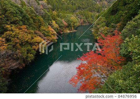 Autumn leaves of Lake Shiromaru from Kazumakyo Bridge Autumn leaves of Lake Shiromaru from Kazumakyo Bridge 84876956