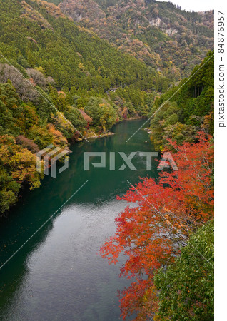 從和馬京橋看白丸湖的秋葉 84876957