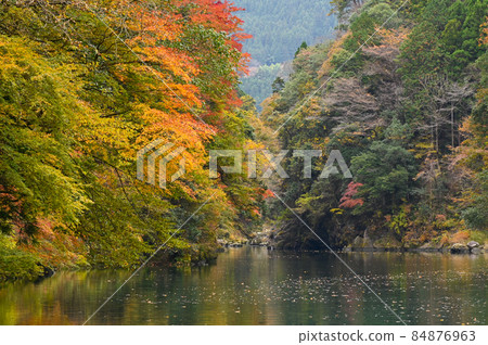 Shiraruma湖秋葉 Shiraruma湖秋葉 84876963