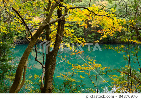 Autumn leaves of Shiraruma lake Autumn leaves of Shiraruma lake 84876970