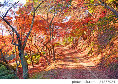 福岡縣田川郡曾田公園秋葉步道 84877024
