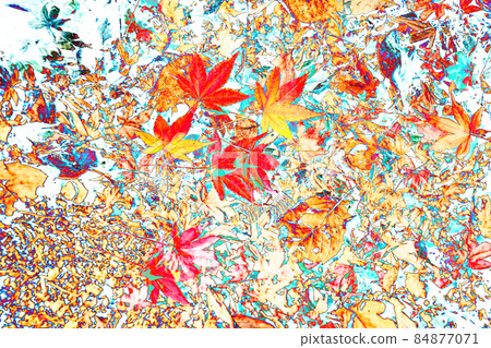 Autumn image Colorful leaves Autumn image Colorful leaves 84877071