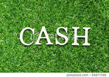 Alphabet letter in word cash on green grass background 84877486