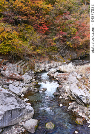 日原高速公路城太橋的秋葉 日原高速公路城太橋的秋葉 84877888