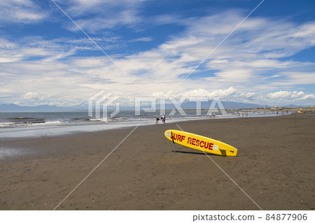 [Fujisawa City] Kugenumakaigan in summer 84877906