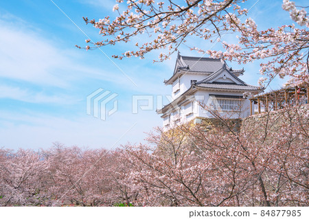 【日本百城】櫻花盛開的津山城、備中砲台和春天的天空(柔軟的觸感)岡山縣津山市 【日本百城】櫻花盛開的津山城、備中砲台和春天的天空(柔軟的觸感)岡山縣津山市 84877985