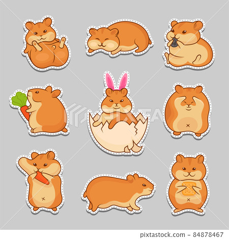 Illustrations of Golden Hamsters 84878467