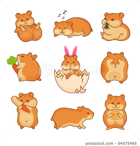 Illustrations of Golden Hamsters 84878468