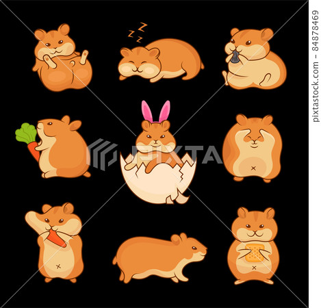 Illustrations of Golden Hamsters Illustrations of Golden Hamsters 84878469