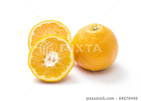 Iyokan Iyokan Iyokan Fruit Sun Fruit Iyokan Iyokan Iyokan Fruit Sun Fruit 84878498