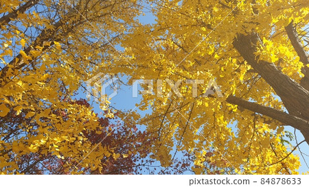 Autumn landscape Autumn landscape 84878633