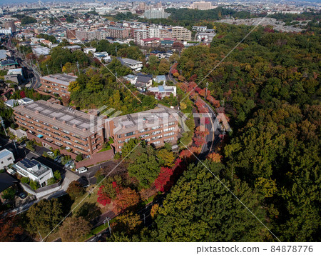 名古屋住宅區和公園的秋葉用無人機拍攝 名古屋住宅區和公園的秋葉用無人機拍攝 84878776