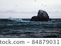 Photography of the rock in the sea 84879031