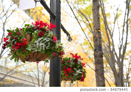 Marunouchi hanging basket Marunouchi hanging basket 84879445