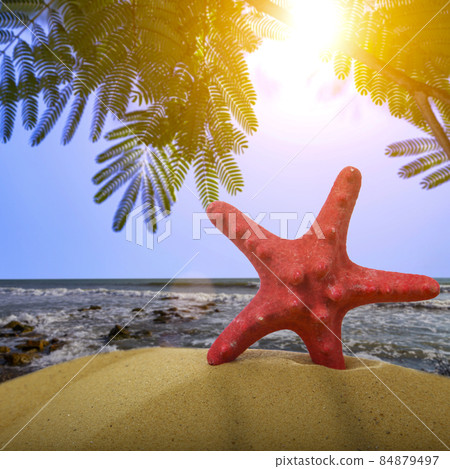 Starfish on the sand against the background of the sea Starfish on the sand against the background of the sea 84879497