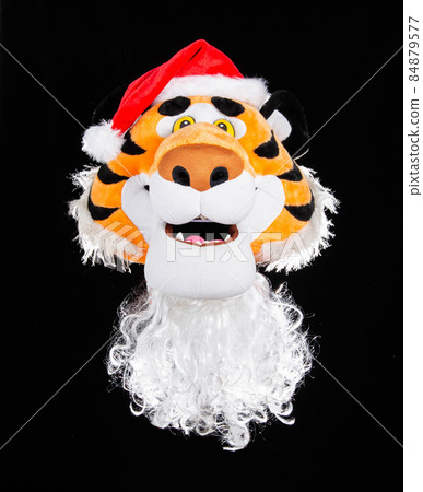 The head of a soft plush tiger in a red santa claus hat with a beard on a black background. Christmas and new year 2022 concept, festive december The head of a soft plush tiger in a red santa claus hat with a beard on a black background. Christmas and new year 2022 concept, festive december 84879577