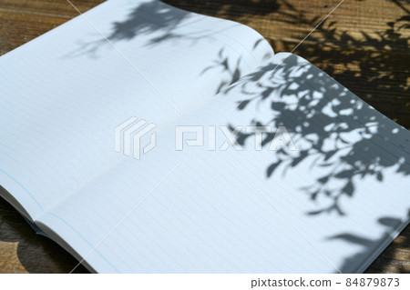 notebook, booklet, double-page spread 84879873