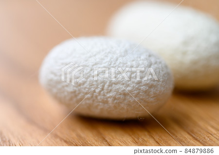 蠶 蛹 蟲繭 84879886