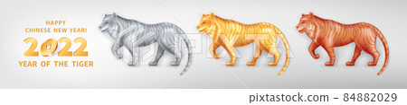 2022 Year of the Tiger 21 84882029