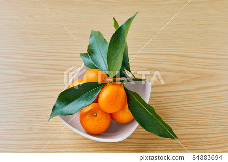 有葉子的金橘 84883694