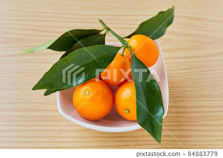 Kumquat with leaves 84883779