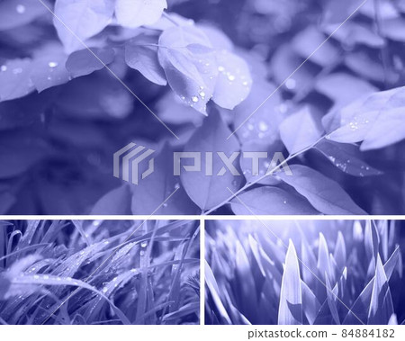 Collage in the color of the year 2022. Backgrounds and textures for design 84884182