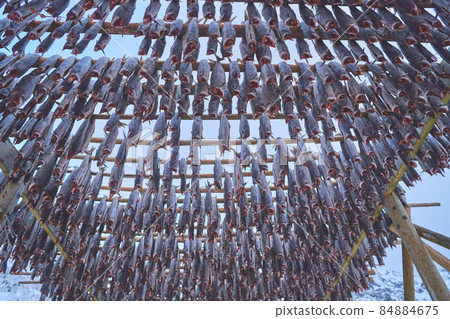 Air drying of Salmon fish on wooden structure at Scandinavian winter 84884675