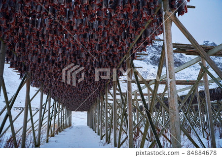 Air drying of Salmon fish on wooden structure at Scandinavian winter Air drying of Salmon fish on wooden structure at Scandinavian winter 84884678