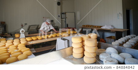 Cheese maker at local production factory Cheese maker at local production factory 84884842
