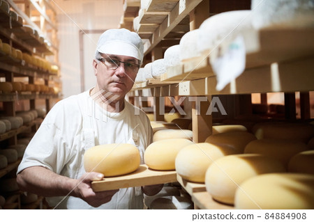 Cheese maker at the storage with shelves full of cow and goat cheese Cheese maker at the storage with shelves full of cow and goat cheese 84884908