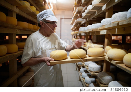 Cheese maker at the storage with shelves full of cow and goat cheese 84884910