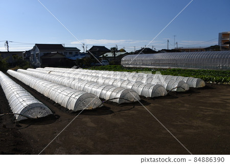 Tunnel sheet for outdoor vegetable cultivation 84886390