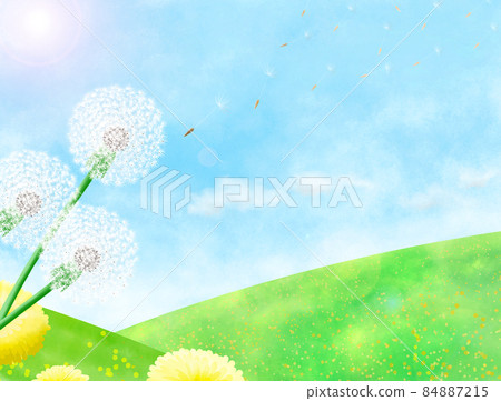 蒲公英絨毛飛舞的藍天風景。 84887215
