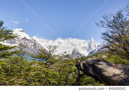 Panoramic picture of Cerro Torre taken from El Chalten hiking trail 84888042