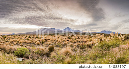 Picture of Mount Ngauruhoe and Mount Ruapehu in the Tongariro National Park on northern island of New Zealand in summer 84888197