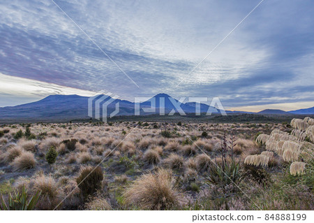 Picture of Mount Ngauruhoe and Mount Ruapehu in the Tongariro National Park on northern island of New Zealand in summer 84888199