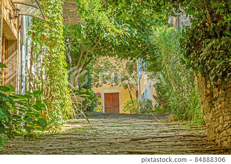 Picture of a romantic cobblestone street overgrown with trees and leaves in the medieval town of Motovun in central Istria during the day Picture of a romantic cobblestone street overgrown with trees and leaves in the medieval town of Motovun in central Istria during the day 84888306