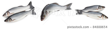 Sea bass fich isolated on white background. Top view. Flat lay. Set or collection Sea bass fich isolated on white background. Top view. Flat lay. Set or collection 84888654
