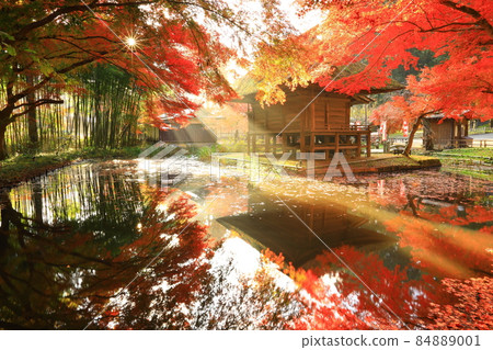 World heritage site, Hiraizumi Town, Iwate Prefecture, Chusonji Temple with colored leaves World heritage site, Hiraizumi Town, Iwate Prefecture, Chusonji Temple with colored leaves 84889001