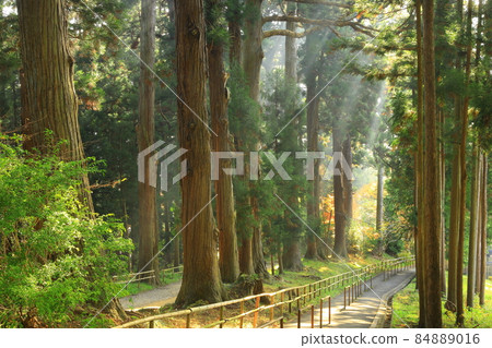 世界遺產，岩手縣平泉町，紅葉中尊寺 84889016