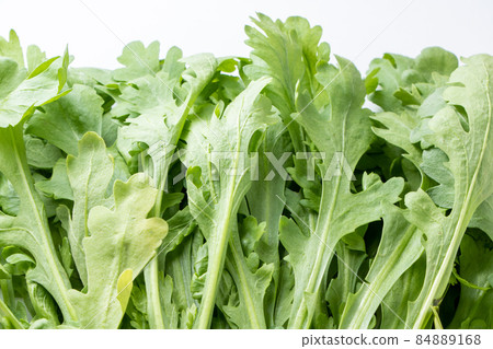 Up of garland chrysanthemum (Kikuna). Up of garland chrysanthemum (Kikuna). 84889168