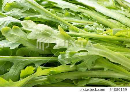 花環菊花 (Kikuna) 的上升。 花環菊花 (Kikuna) 的上升。 84889169