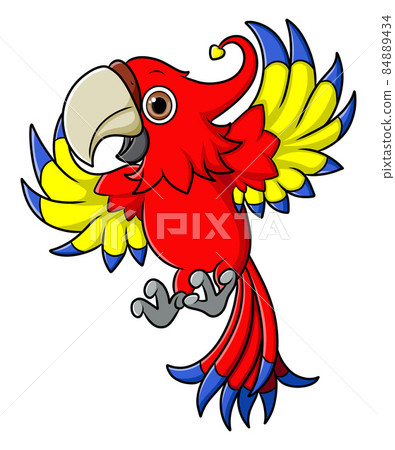 The wonderful parrot is flying and posing cutely of illustration The wonderful parrot is flying and posing cutely of illustration 84889434