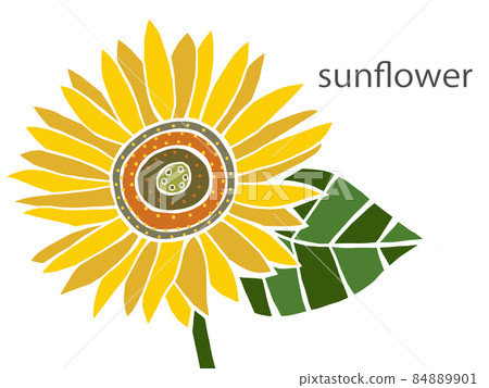 Sunflower flower Sunflower flower 84889901