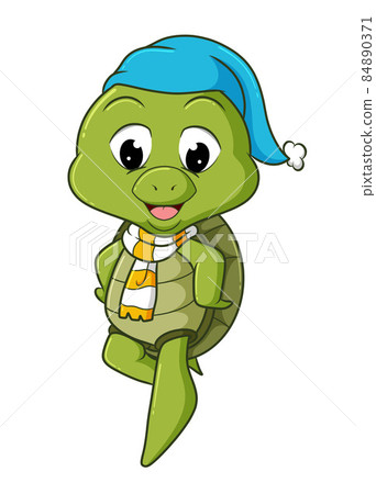 The turtle with the hat and scarf is ready for winter The turtle with the hat and scarf is ready for winter 84890371