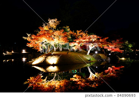源泉園 國家特別史蹟 鶴成渚 紅葉燈火通明 源泉園 國家特別史蹟 鶴成渚 紅葉燈火通明 84890693